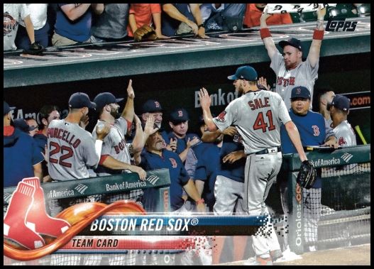 48 Boston Red Sox Team Card